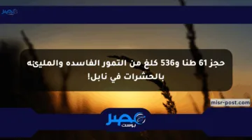 حجز 61 طنا و536 كلغ من التمور الفاسدة والمليئة بالحشرات في نابل!